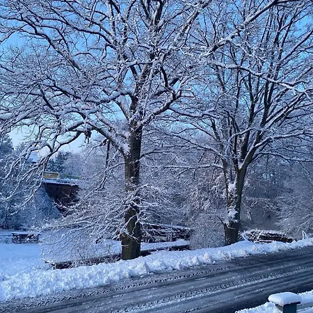 Daire Petit Du Horst Bach *