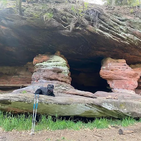 Petit Du Horst Bach Daire *